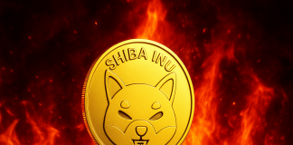 Shiba Inu Appears to be like Weak—However Hides A 2,000% Finish-Cycle Breakout: Analyst