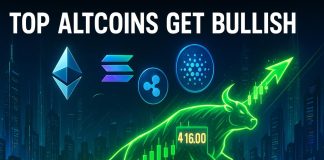 Bitcoin Returns to $115Okay as US-China Relations Elevate Hope for Prime Altcoins Like PEPENODE