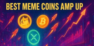 Finest Meme Cash Amp Up as Retail Merchants Make a Blazing Return