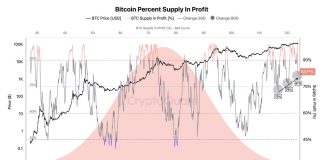 Bitcoin Provide In Revenue Rises To 83.6% – Market Momentum Constructing Once more