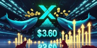 XRP Value Prediction: XRP Eyes $3.60 Breakout as Liquidity Cluster and Whale Accumulation Drive Momentum