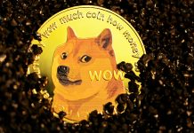 Dogecoin Ignites — 60% Quantity Growth Teases Potential Rally Dogecoin Ignites — 60% Quantity Growth Teases Potential Rally