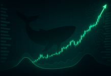 Max Bid Crypto Now: Market Maker Wintermute Turns Absolutely Bullish Max Bid Crypto Now: Market Maker Wintermute Turns Absolutely Bullish