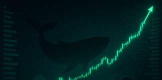 Max Bid Crypto Now: Market Maker Wintermute Turns Absolutely Bullish