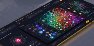 Binance Pockets Companions with Bubblemaps to Assist Battle Insider Crypto Buying and selling