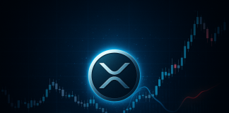 XRP Indicator That Nailed Latest Reversals Has Flashed Once more