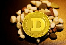 Dogecoin Down 20% – However Some Assume This Is When The Actual Good points Begin Dogecoin Down 20% – However Some Assume This Is When The Actual Good points Begin