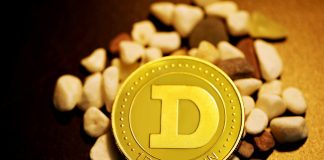Dogecoin Down 20% – However Some Assume This Is When The Actual Good points Begin