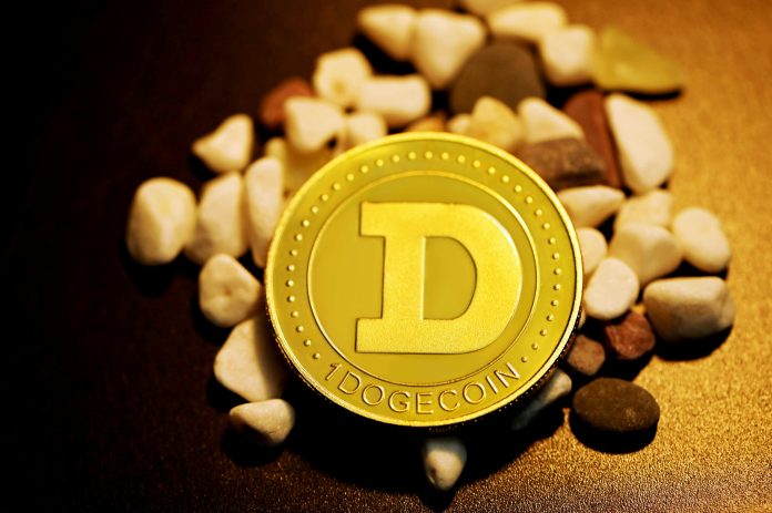 Dogecoin Down 20% – However Some Assume This Is When The Actual Good points Begin