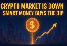 Crypto Market Is Down: Sensible Cash Buys the Dip Crypto Market Is Down: Sensible Cash Buys the Dip