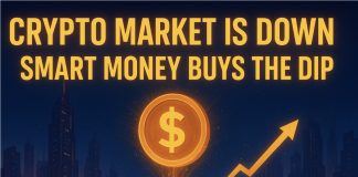 Crypto Market Is Down: Sensible Cash Buys the Dip