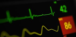 Is Crypto ‘Boring’ Now? Bitwise CEO Says The Market Is Altering Is Crypto ‘Boring’ Now? Bitwise CEO Says The Market Is Altering