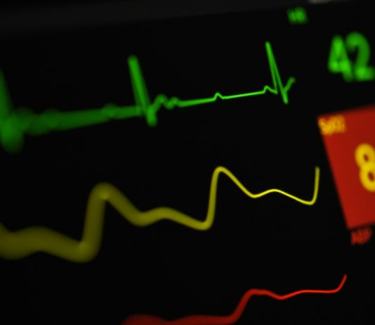 Is Crypto ‘Boring’ Now? Bitwise CEO Says The Market Is Altering