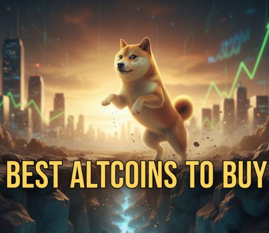 Maxi Doge ($MAXI) Finest Altcoin to Purchase as Sturdy Sign to Purchase Dogecoin Dip Emerges