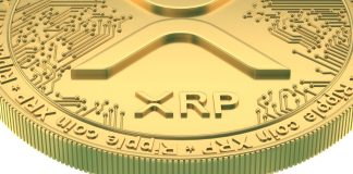 Analyst Reveals What Ripple’s Newest Launch In The US Means For The XRP Worth