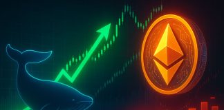 Anti-CZ Whale Flips Bullish: Now Lengthy $109M In Ethereum Whereas Holding Large Meme Shorts