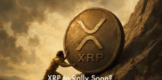 Is $XRP Prepared for a New Rally? Why the Bitcoin Hyper Presale Is Pumping Proper Now