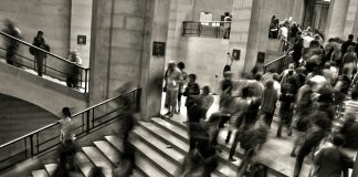 XRP’s Worth Doesn’t Match Its Rising Actual-World Use, Research Finds