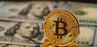 Bitcoin Value Rallies, However Is BTC Dominance Indicating Altcoin Season Has Lastly Arrived?