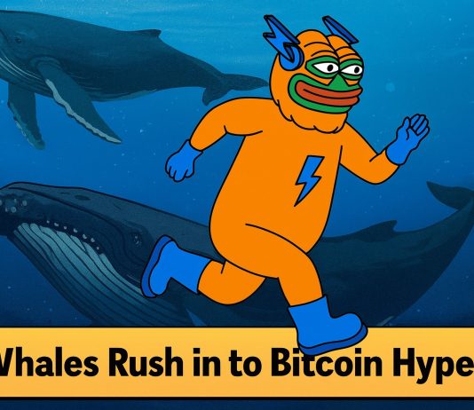 Over $307Okay Purchased in a Day: Why Are Whales Speeding to Bitcoin Hyper? Over $307Okay Purchased in a Day: Why Are Whales Speeding to Bitcoin Hyper?