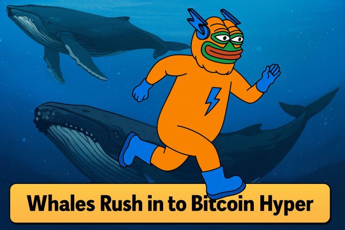 Over $307Okay Purchased in a Day: Why Are Whales Speeding to Bitcoin Hyper?