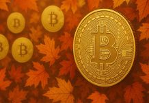 Morgan Stanley Warns Bitcoin Is Getting into Its ‘Fall’ Season — Time to Harvest Good points