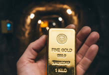 XRP Earns Tutorial Reward: College Examine Calls It ‘Gold In Your Palms’