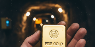 XRP Earns Tutorial Reward: College Examine Calls It ‘Gold In Your Palms’
