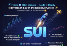 SUI Silent Comeback: The Underdog Making ready For A $20 Cost