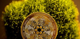 Neglect The Obituaries—Cardano Is Alive, Says Bitcoin Analyst