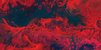 Crypto Carnage Continues — Tom Lee Exposes What’s Actually Going On