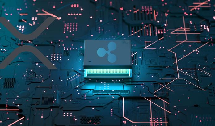 Ripple Exec Addresses Tax Concern On XRP Ledger, The place Does It Go?