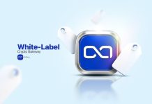 Constructing a Branded Gateway Is Tough. Resolution: White-Label Crypto Gateway