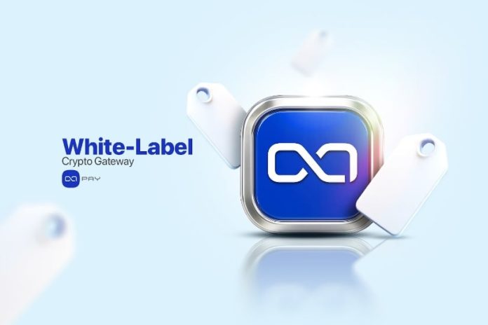 Constructing a Branded Gateway Is Tough. Resolution: White-Label Crypto Gateway