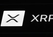 XRP Actual Function: Documentation Exhibits Cost Utility Opposite To Viral Claims — Particulars