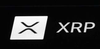 XRP Actual Function: Documentation Exhibits Cost Utility Opposite To Viral Claims — Particulars