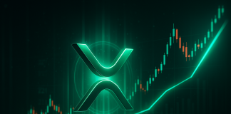 The Bull And Bear Situation For XRP That Might Play Out In November