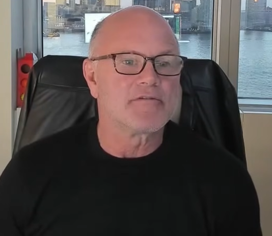 30% Of Crypto Market Makers Obtained Wiped, Mike Novogratz Says