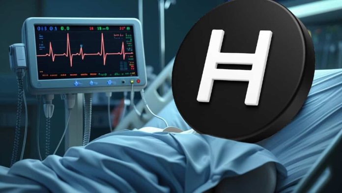 Hedera Value Softens as Momentum Cools After Current Rebound