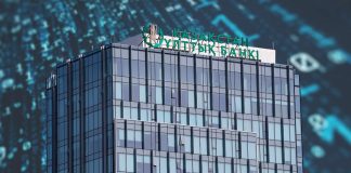 $300 Million Crypto Wager: Kazakhstan’s Central Financial institution Gears Up