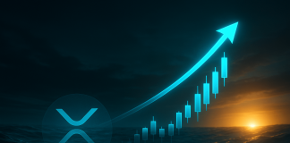 XRP Whale Wallets Collapse 20%, However Greatest Holders Hoard Extra Than Ever