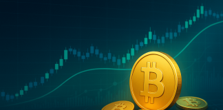 Bitcoin Lengthy-Time period Holders See First Uptick Since April Lows: Bullish Signal?