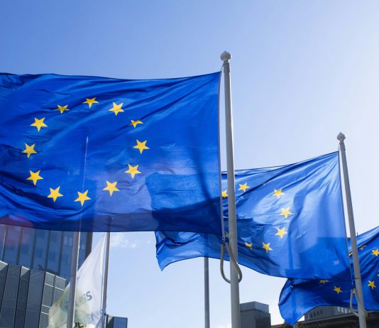 Bitcoin Path Ends: $29M Seized After European Authorities Shut Down Cryptomixer