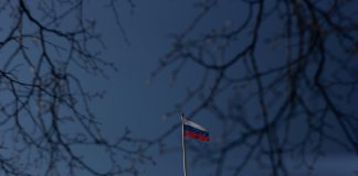 Russia Steps Deeper Into Crypto As State Financial institution Prepares Direct Buying and selling