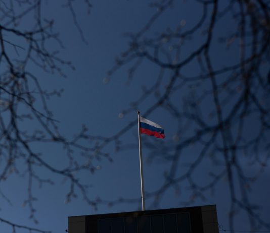 Russia Steps Deeper Into Crypto As State Financial institution Prepares Direct Buying and selling