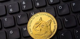 Analyst Says Dogecoin Worth Is Prepared To Fly, Right here’s Why