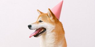 Dogecoin’s Dozen Years: King Of Meme Cash Marks 12th Birthday In Tough Markets