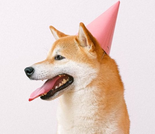 Dogecoin’s Dozen Years: King Of Meme Cash Marks 12th Birthday In Tough Markets