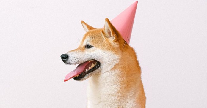 Dogecoin’s Dozen Years: King Of Meme Cash Marks 12th Birthday In Tough Markets Dogecoin’s Dozen Years: King Of Meme Cash Marks 12th Birthday In Tough Markets