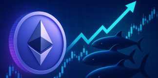 Sensible Whales Align: High Performers Go All-In On Ethereum Lengthy Positions With Over $425M in Publicity
